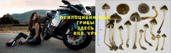 ПСИЛОЦИБИНОВЫЕ ГРИБЫ Балахна