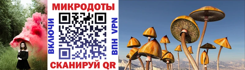 Псилоцибиновые грибы прущие грибы Макарьев